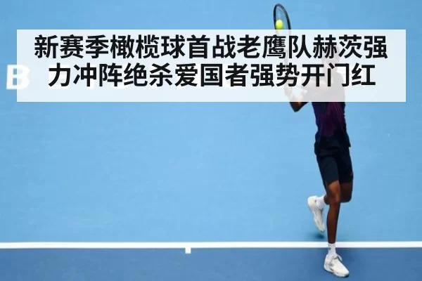 新赛季橄榄球首战老鹰队赫茨强力冲阵绝杀爱国者强势开门红